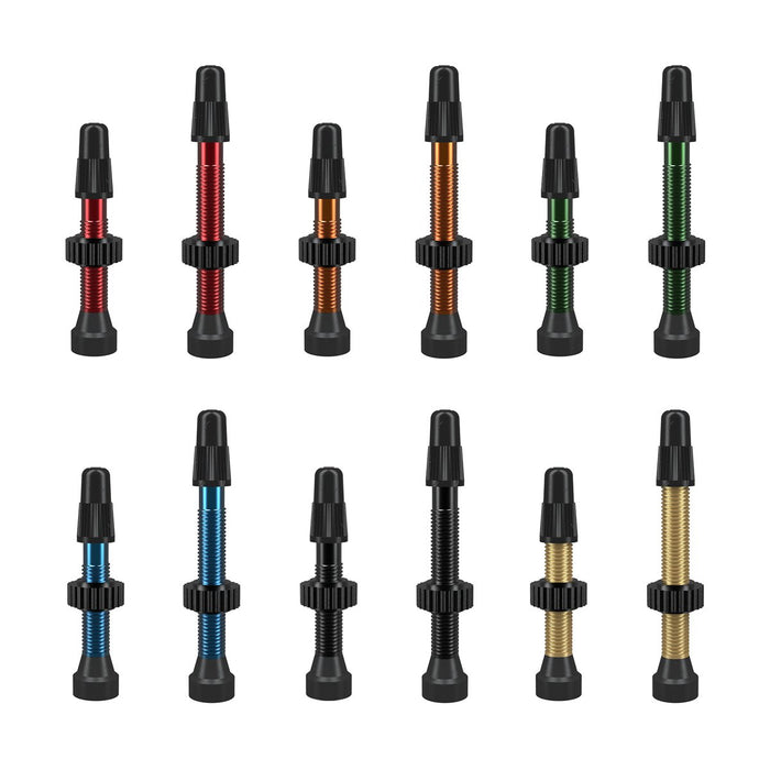 WTB TCS Tubeless Valves