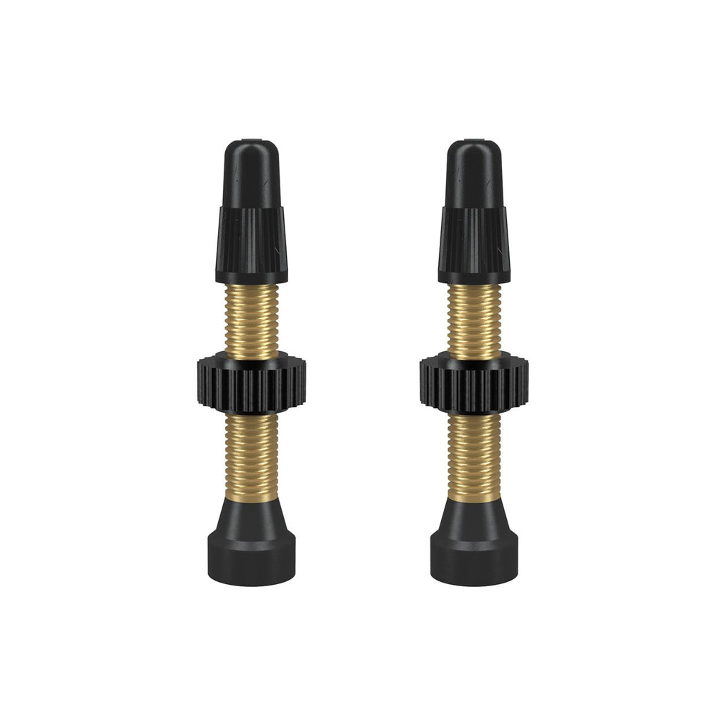 WTB TCS Tubeless Valves