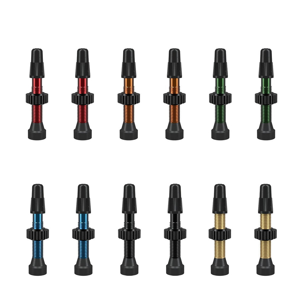 WTB TCS Tubeless Valves