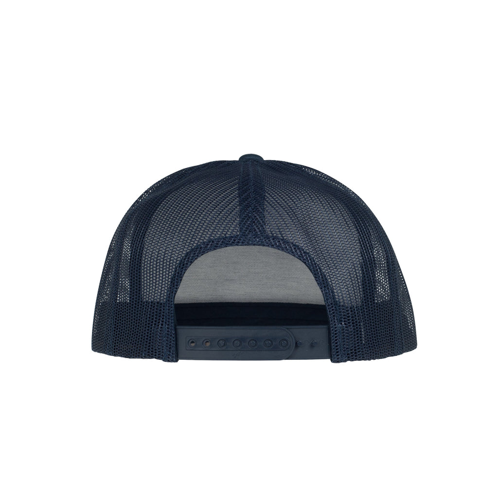 WTB Heritage Logo Hat